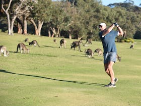 Anglesea Golf Club