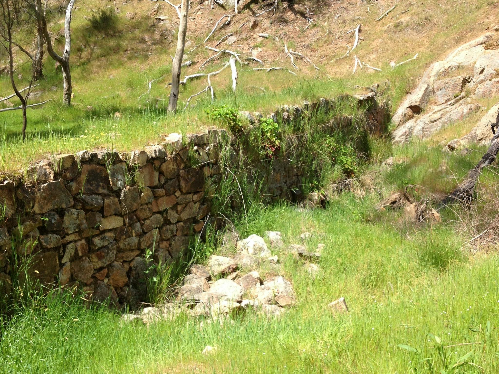 old stone wall, rocks, twigs, trees, native grasses