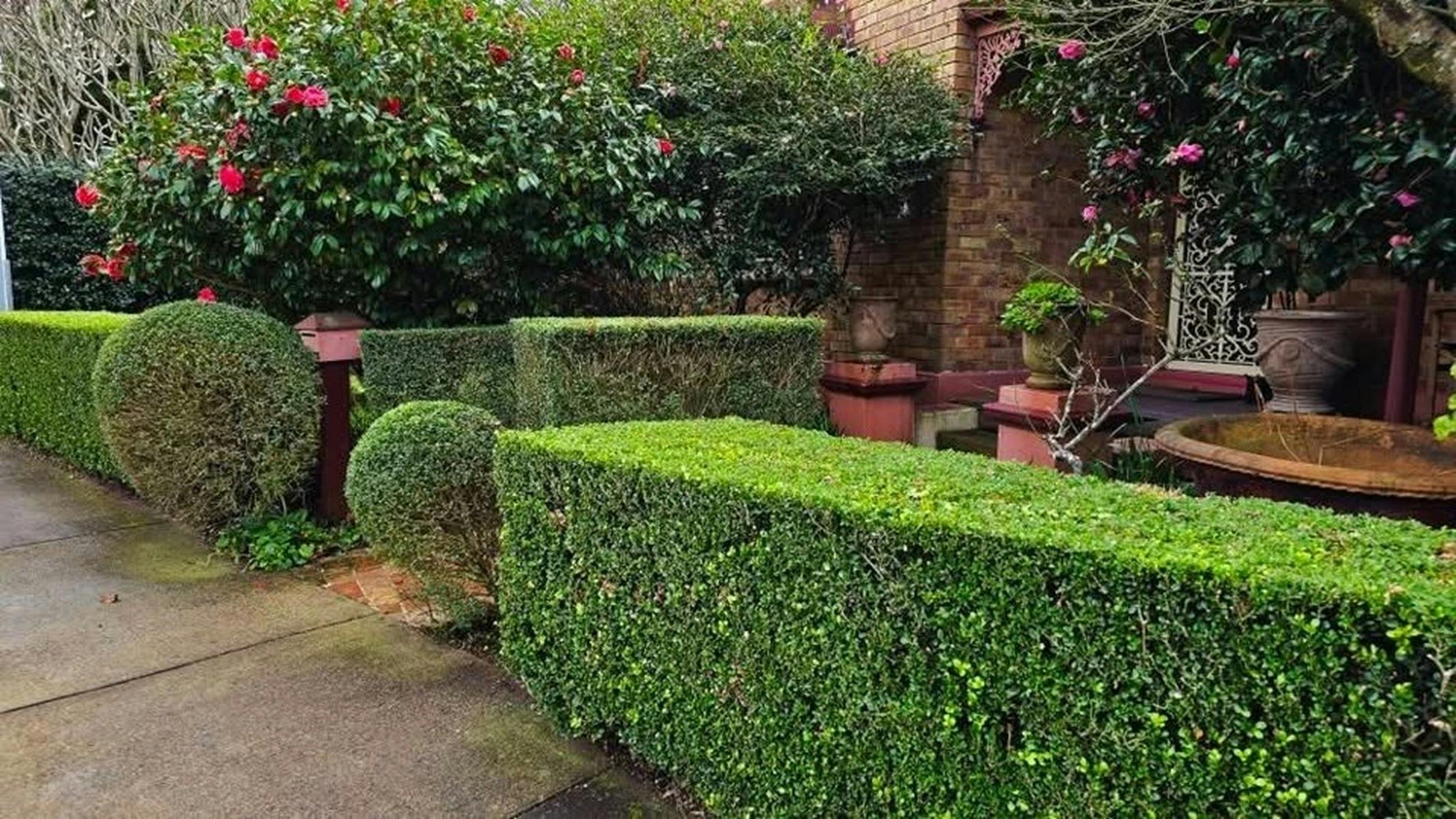 Maitland Garden Ramble