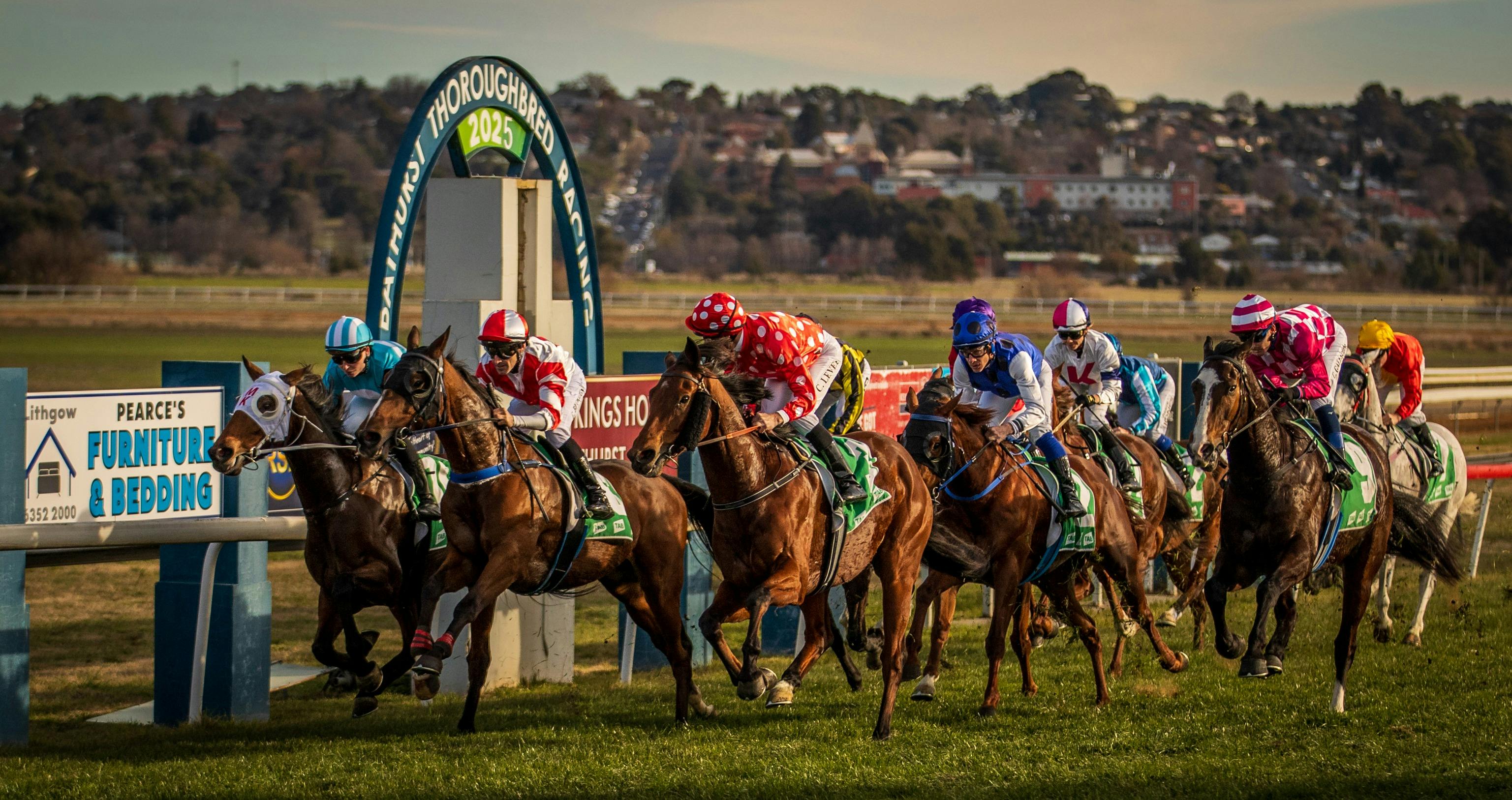 2000-Meter-Start bei den Bathurst-Vollblutrennen