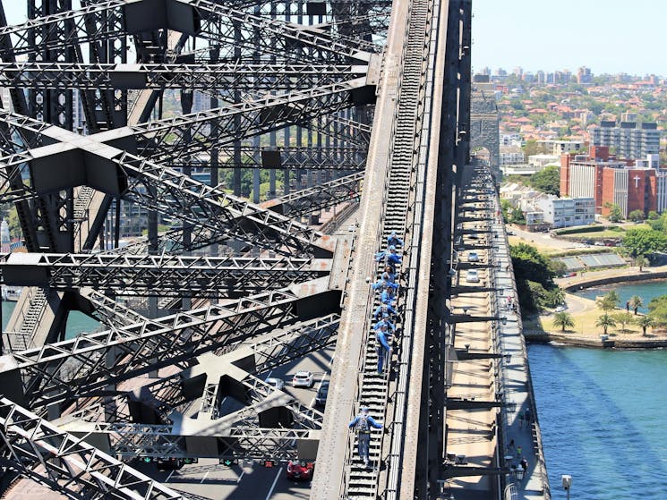 View of the bridge from Pylon