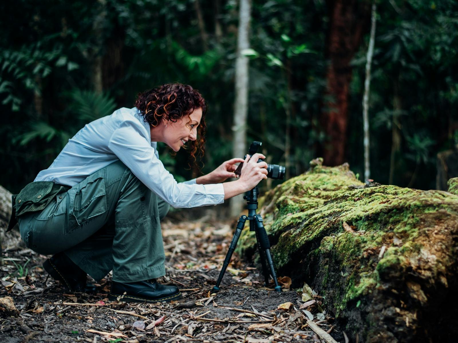 A photographer is photographing mushrooms on a log A photographer is photographing mushrooms on a log