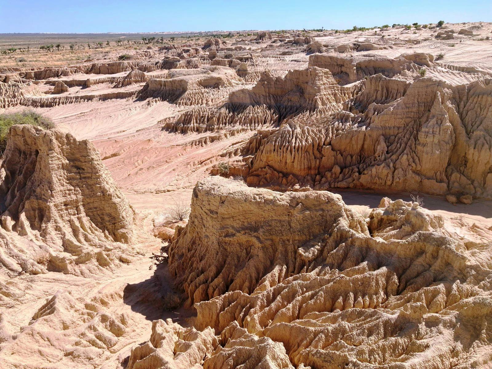 Lake Mungo - Half day with Morning Tea