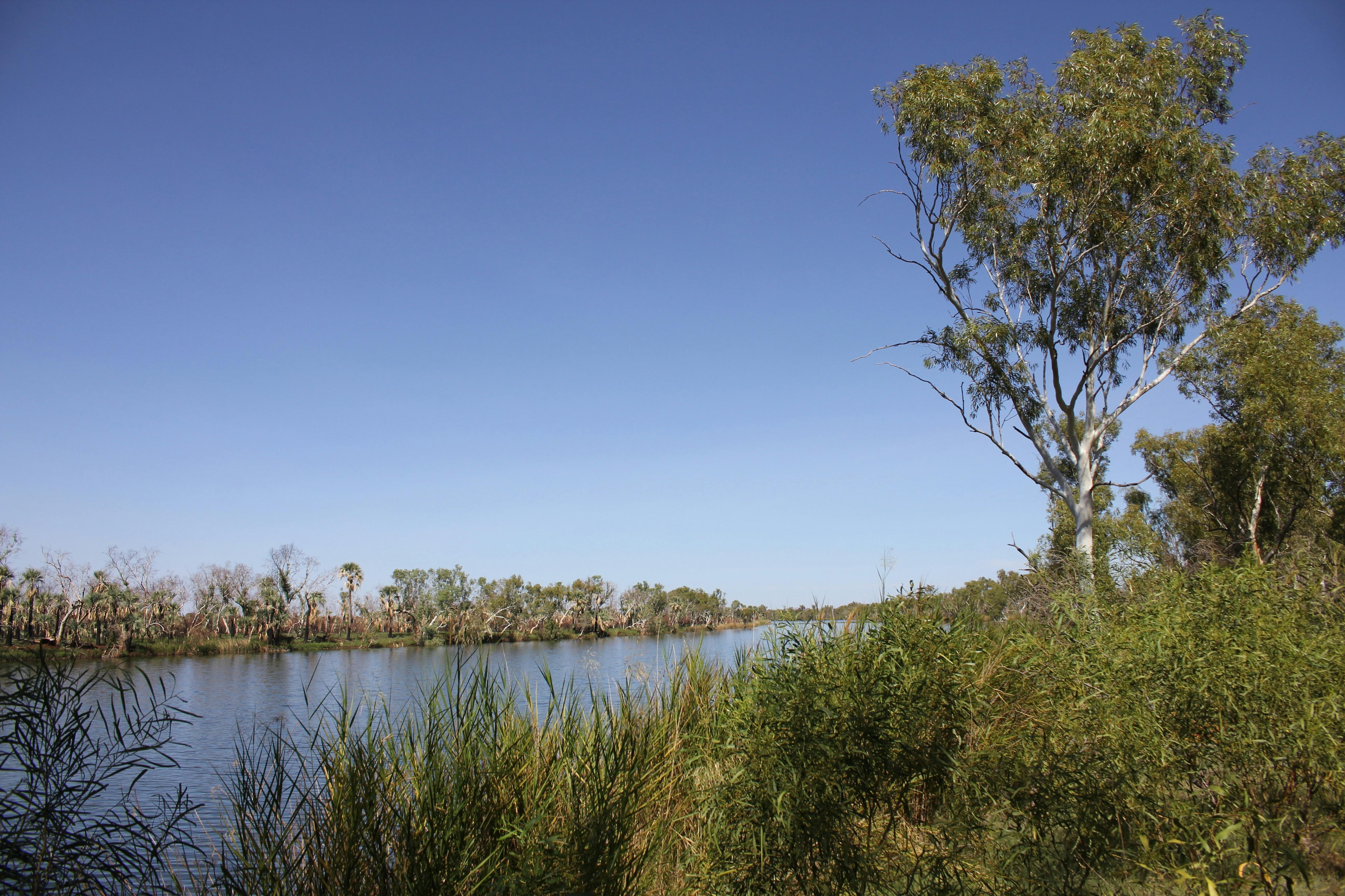 Millstream Chichester National Park