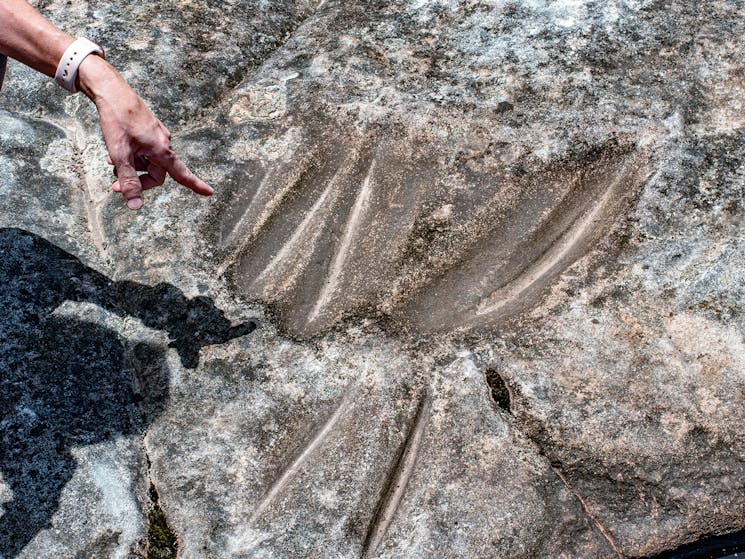 Hand pointing at ancient engravings