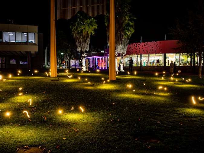 Illuminate Adelaide in Mount Gambier Digital Garden