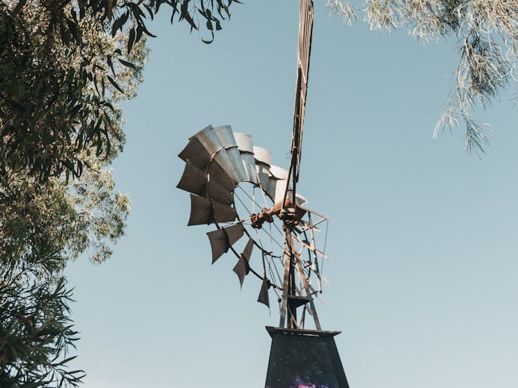 The ErinEarth Windmill