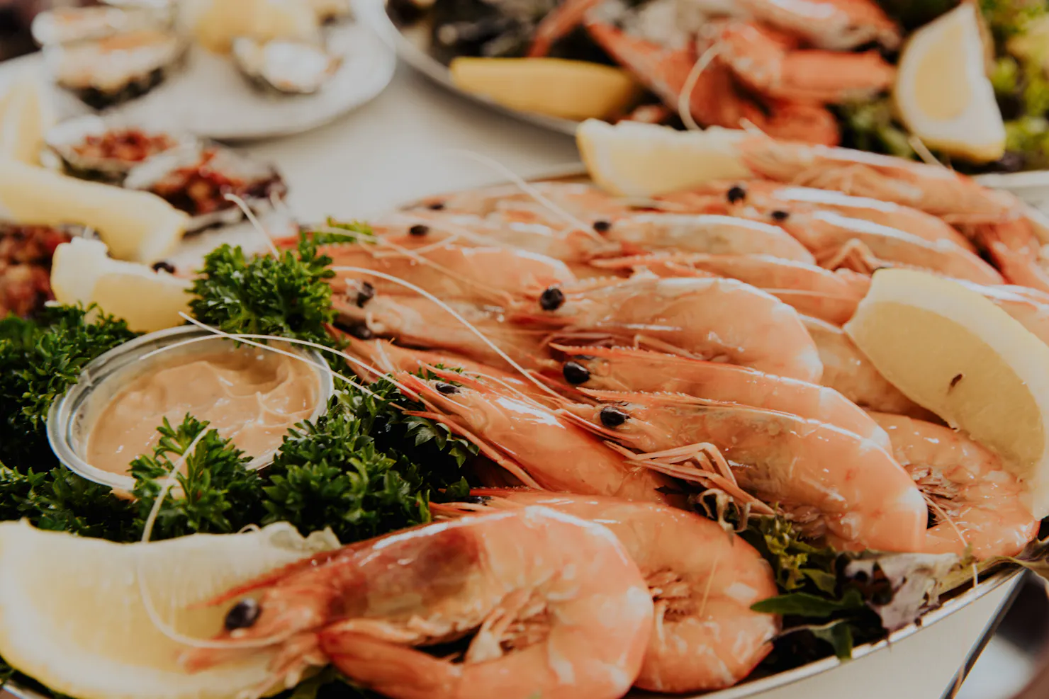 Mooloolaba's  freshest seafood served on board the Rum Runner