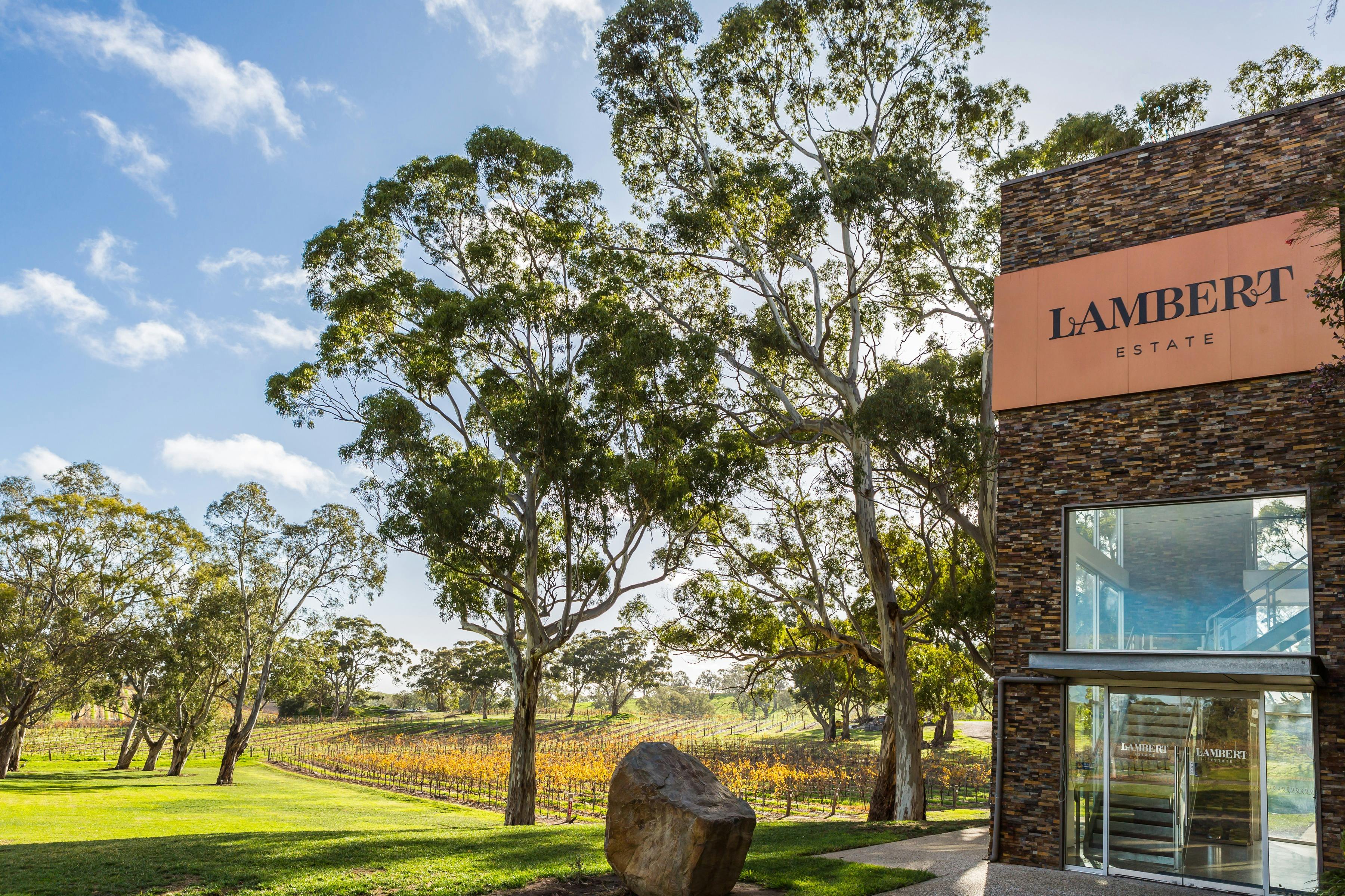 EcoVine Explorer - vineyard e-cart tours