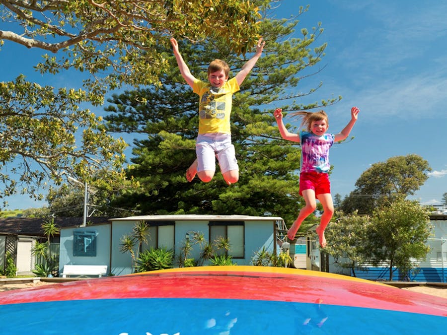 Kangaroo Jumper at Werri Beach Holiday Park