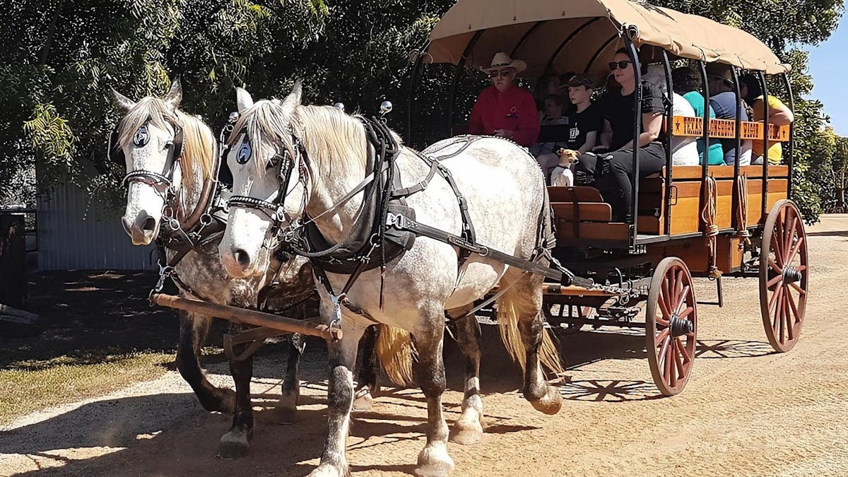 Wagon at Texas Longhorn Tours