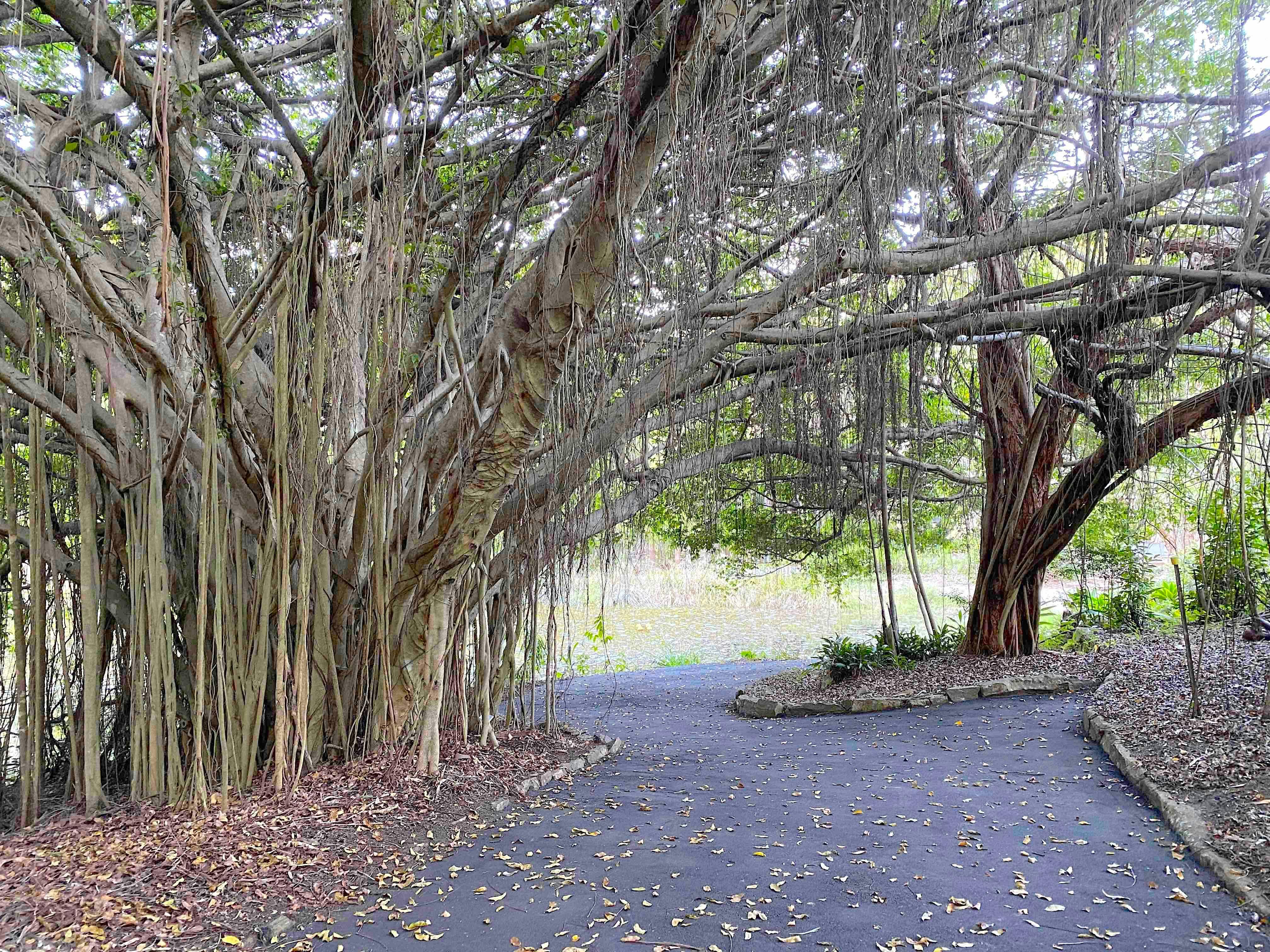 Joel's Journeys - West of Noosa Tour