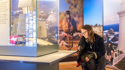 Visitor reading a label in Connections / Mura gadi gallery