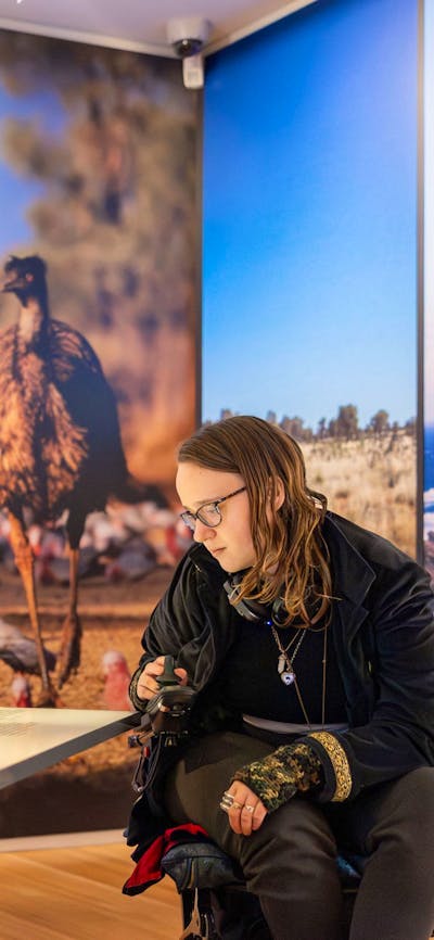 Visitor reading a label in Connections / Mura gadi gallery