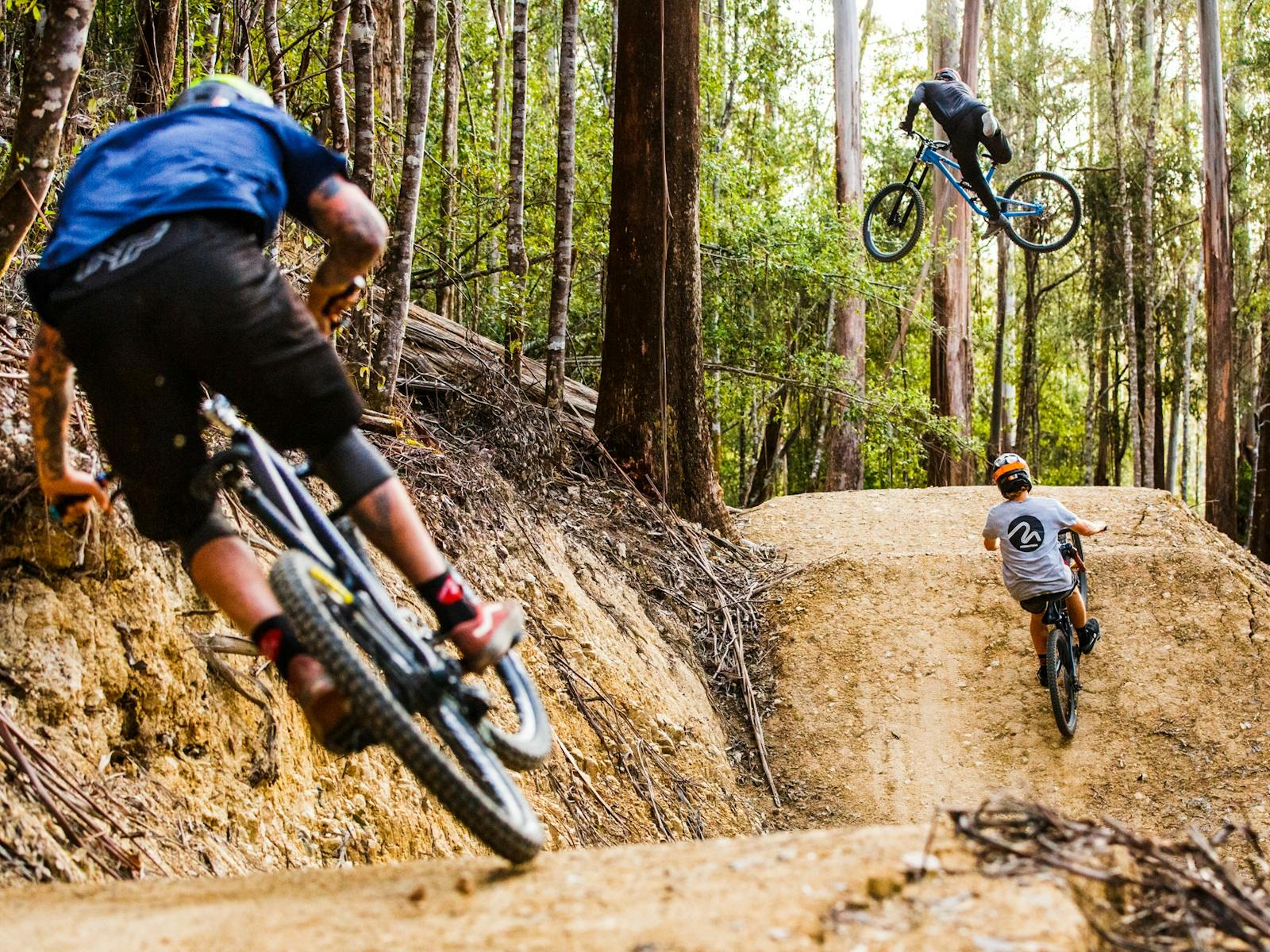 Group of riders on one of Maydena Jump Freeride Trails