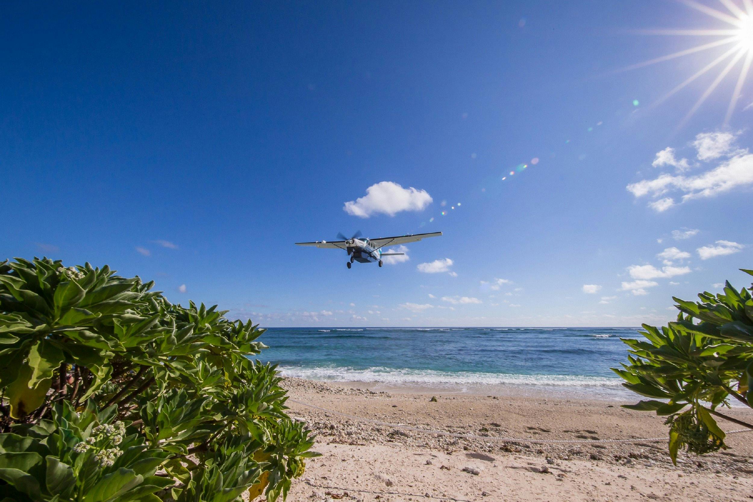 Lady Elliot Island