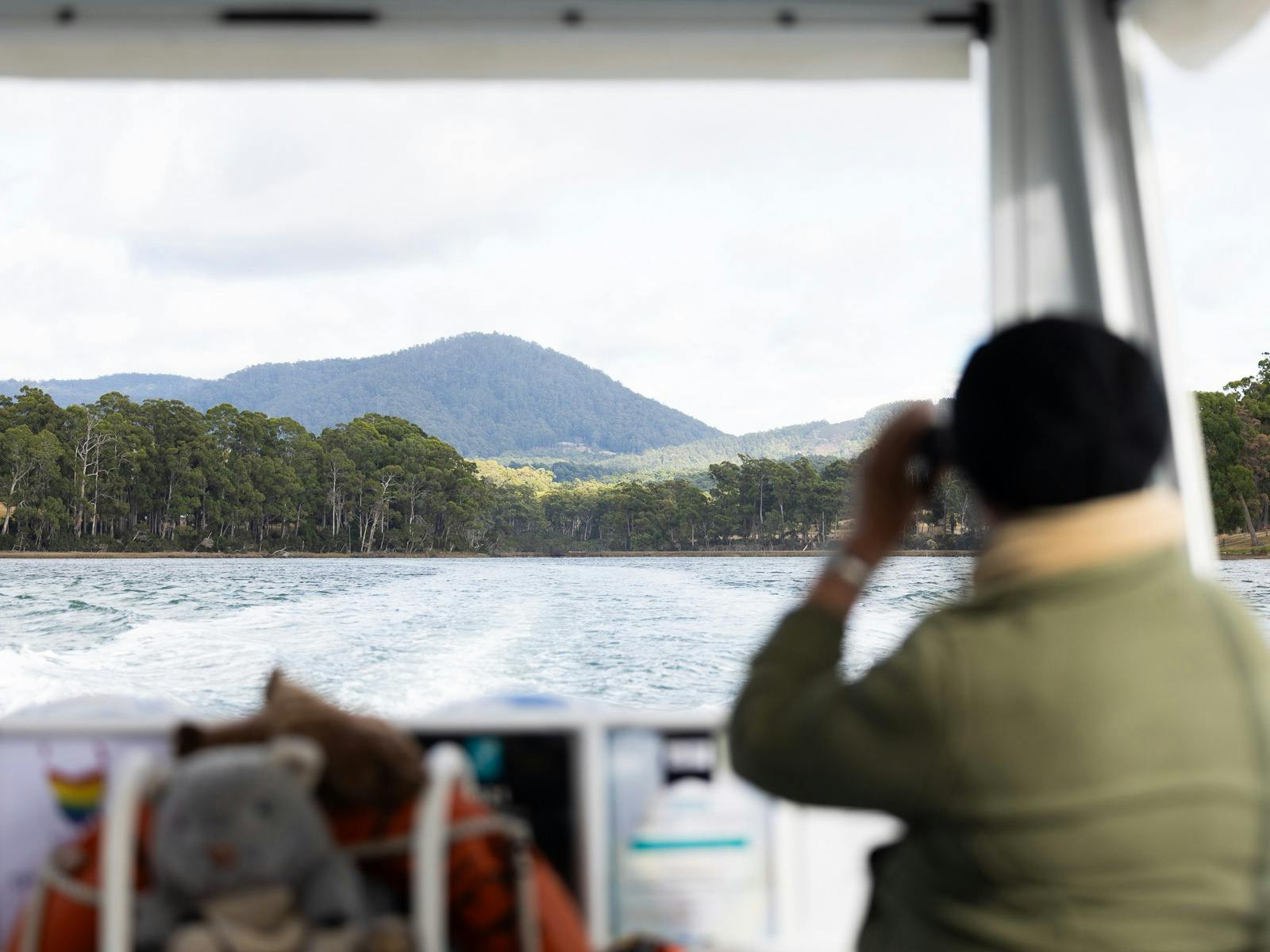 The focus is on the forest image