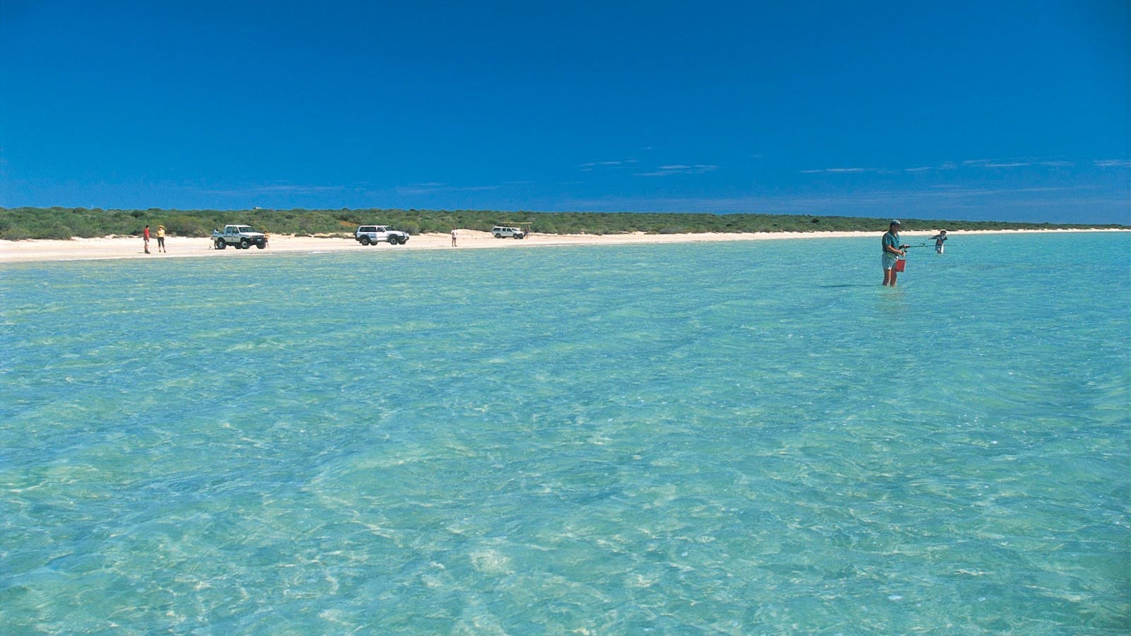 Shark Bay World Heritage Drive