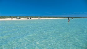 Shark Bay World Heritage Drive, Hamelin Pool, Western Australia