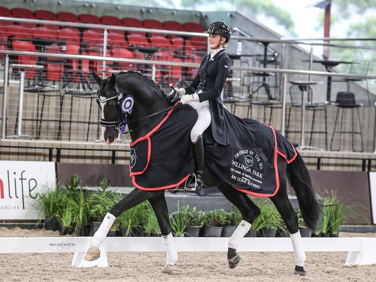 Dressage by the Sea | NSW Holidays & Accommodation, Things to Do