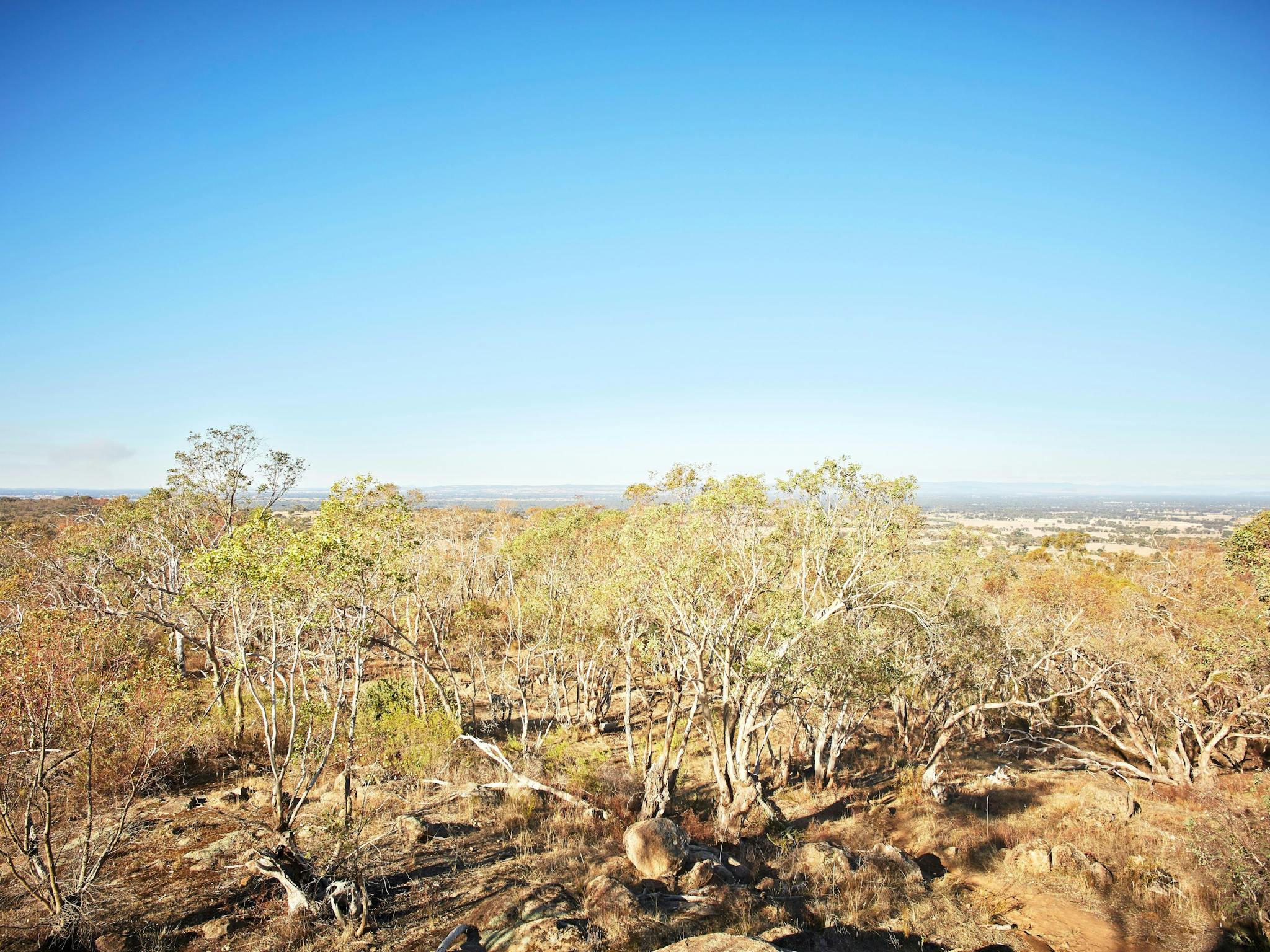view from ryans lookout