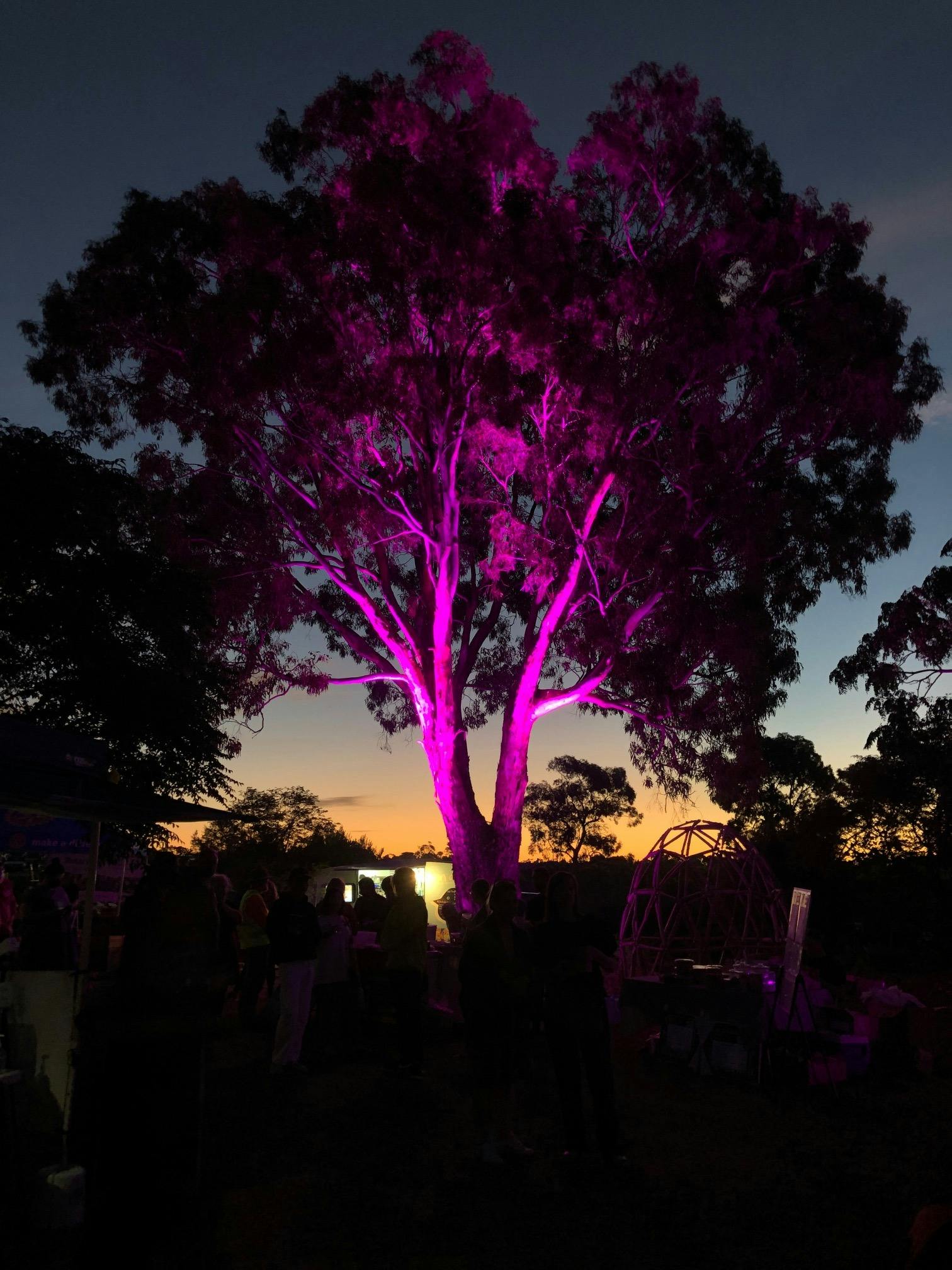 Nightfall and lights in the trees