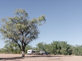 Apex Park Bush Camping Area