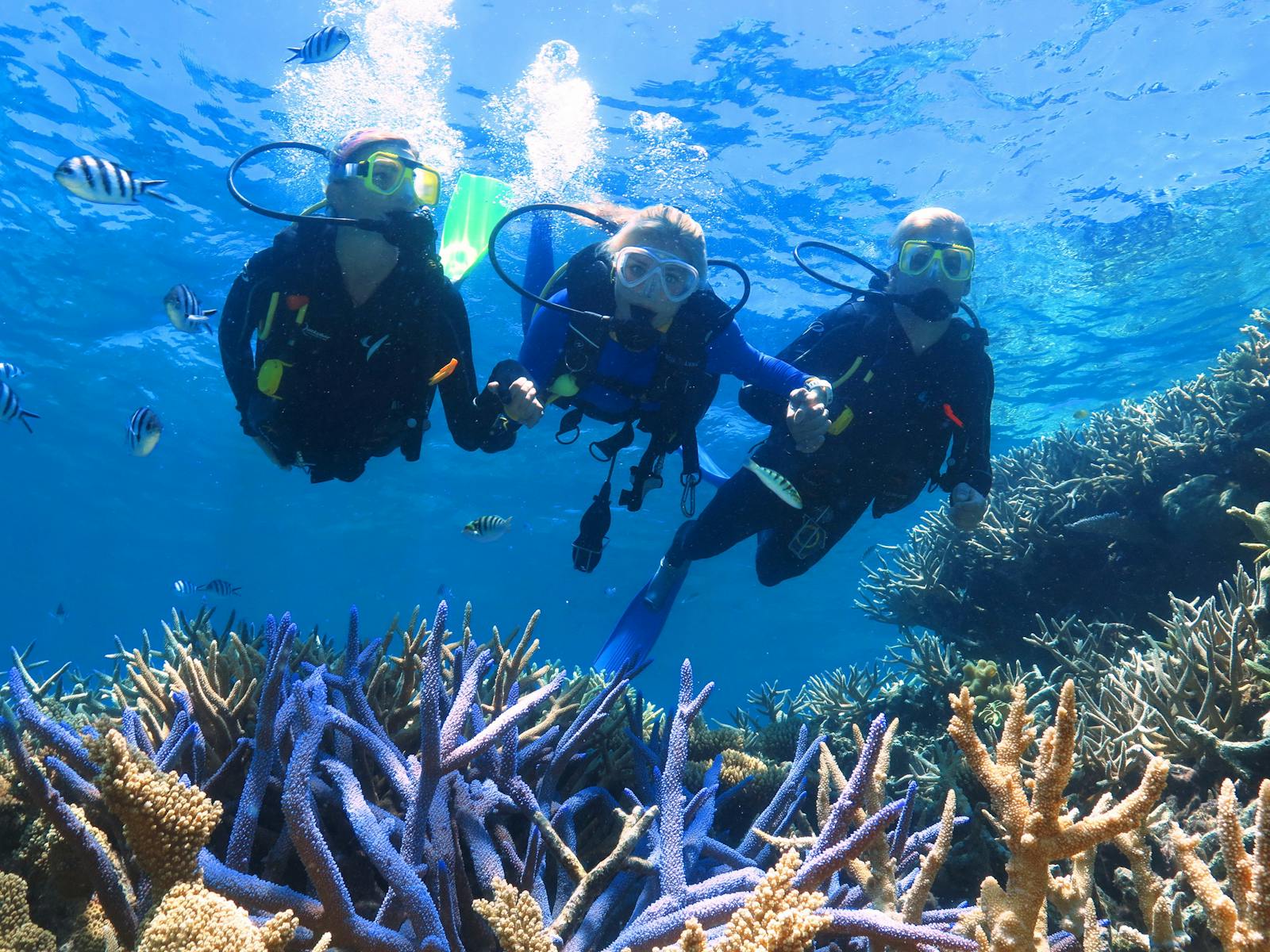 Quicksilver Great Barrier Reef tour