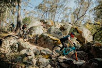 Image: Mt Tumbarumba