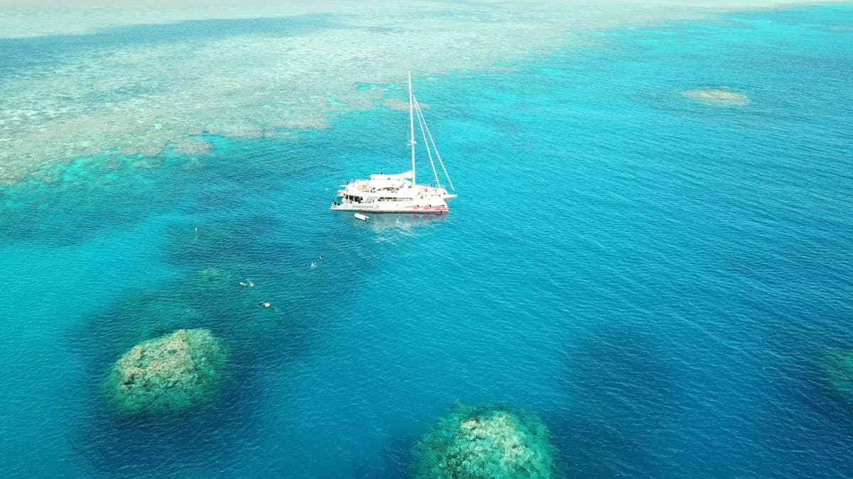 Great Barrier Reef day trips