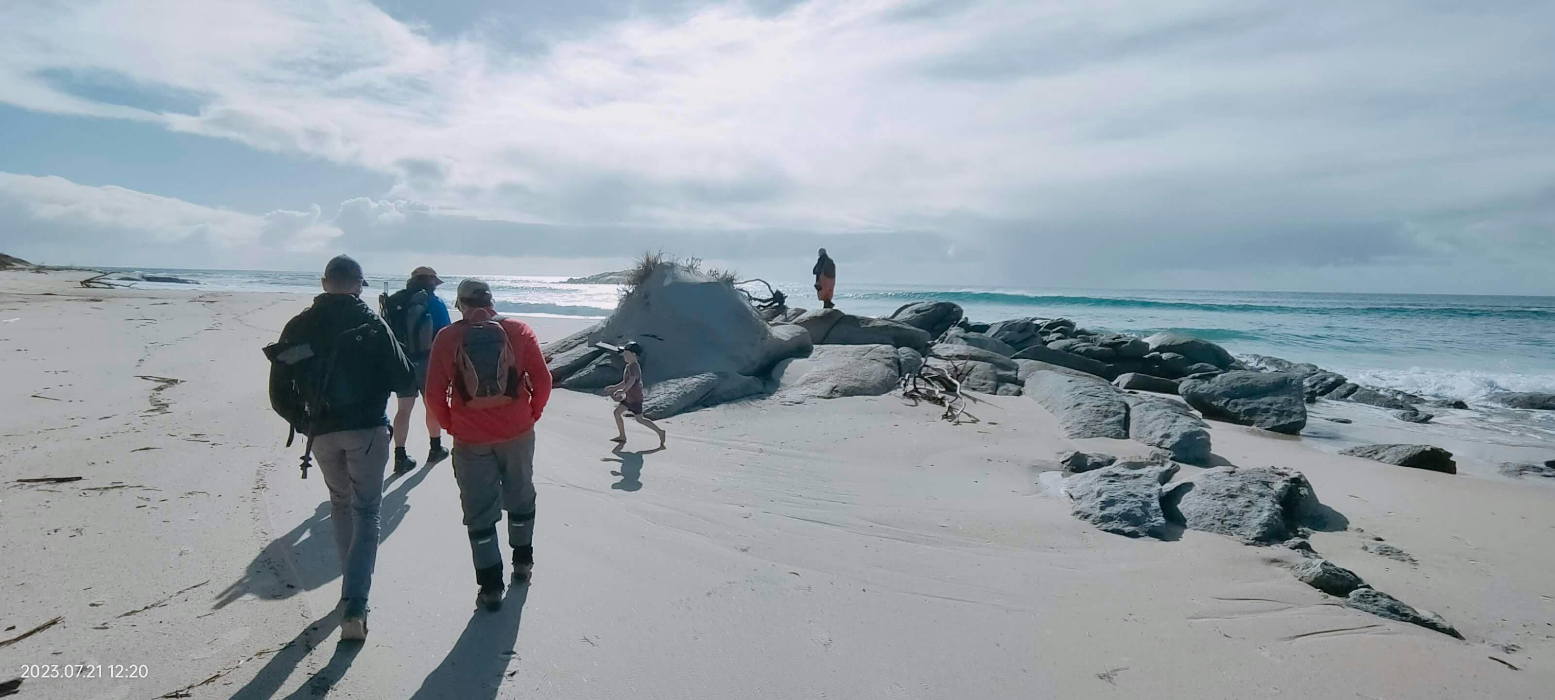 Walking group during the Northern Beaches Walks
