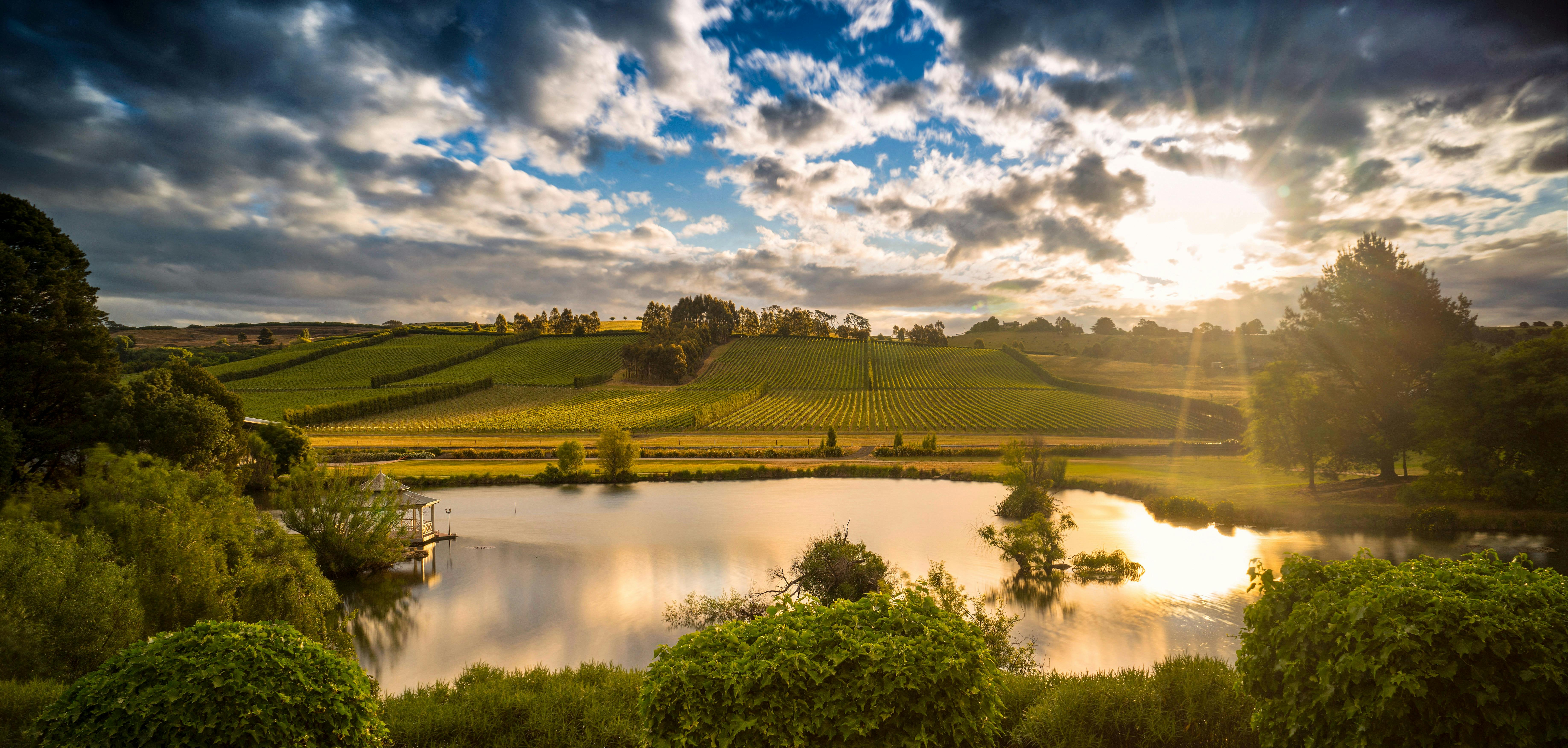 Josef Chromy, Launceston, Tasmania, Ultimate Winery Experiences Australia