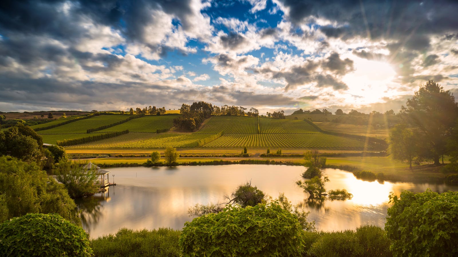 Josef Chromy, Launceston, Tasmania, Ultimate Winery Experiences Australia