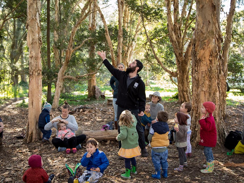 WILD PLAY Taste of Bush School