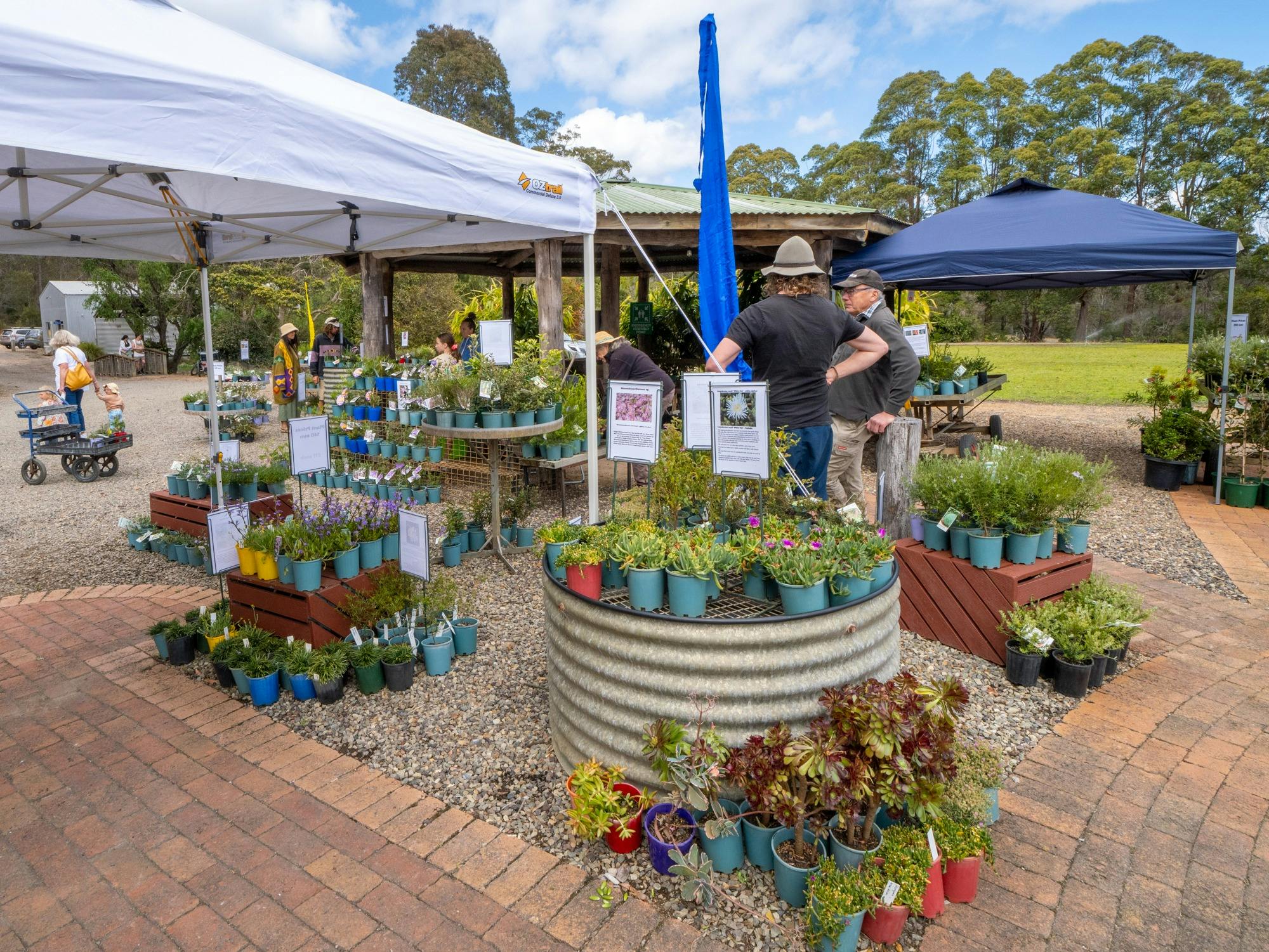 Kangarutha Farm native plant sale