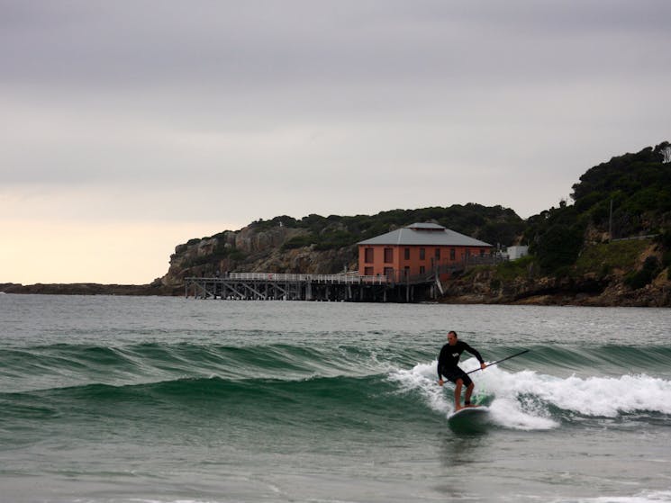 surf, beach, tathra