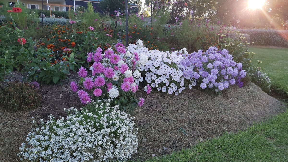 Captivating Gardens