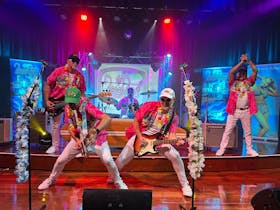 The Australian Beach Boys Show Cover Image