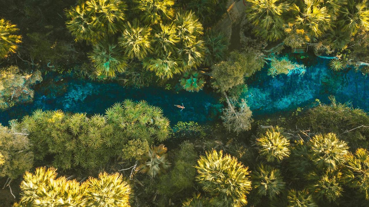 Elsey National Park