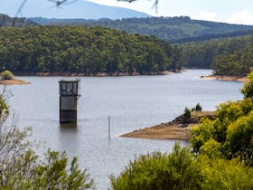 Moondarra State Park