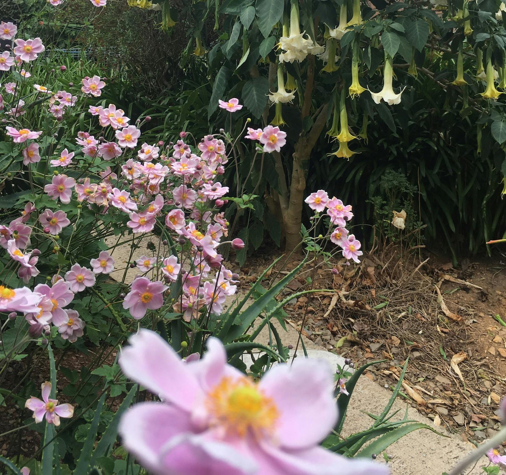 Adelaide Hills B&B Accommodation