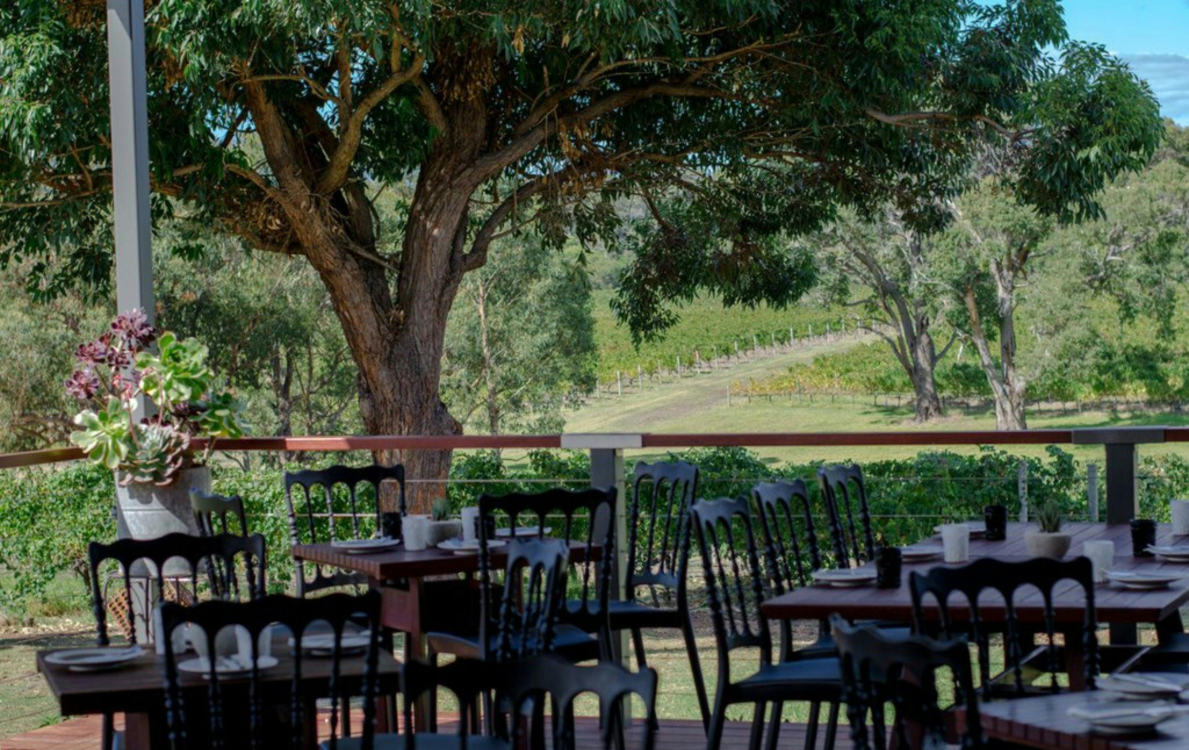 Hay Shed Hill Wines