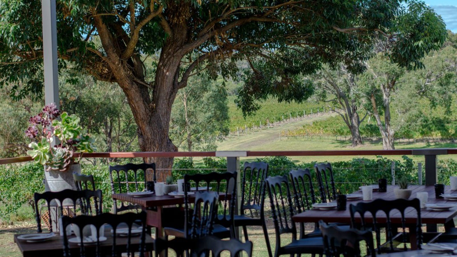 Hay Shed Hill Wines