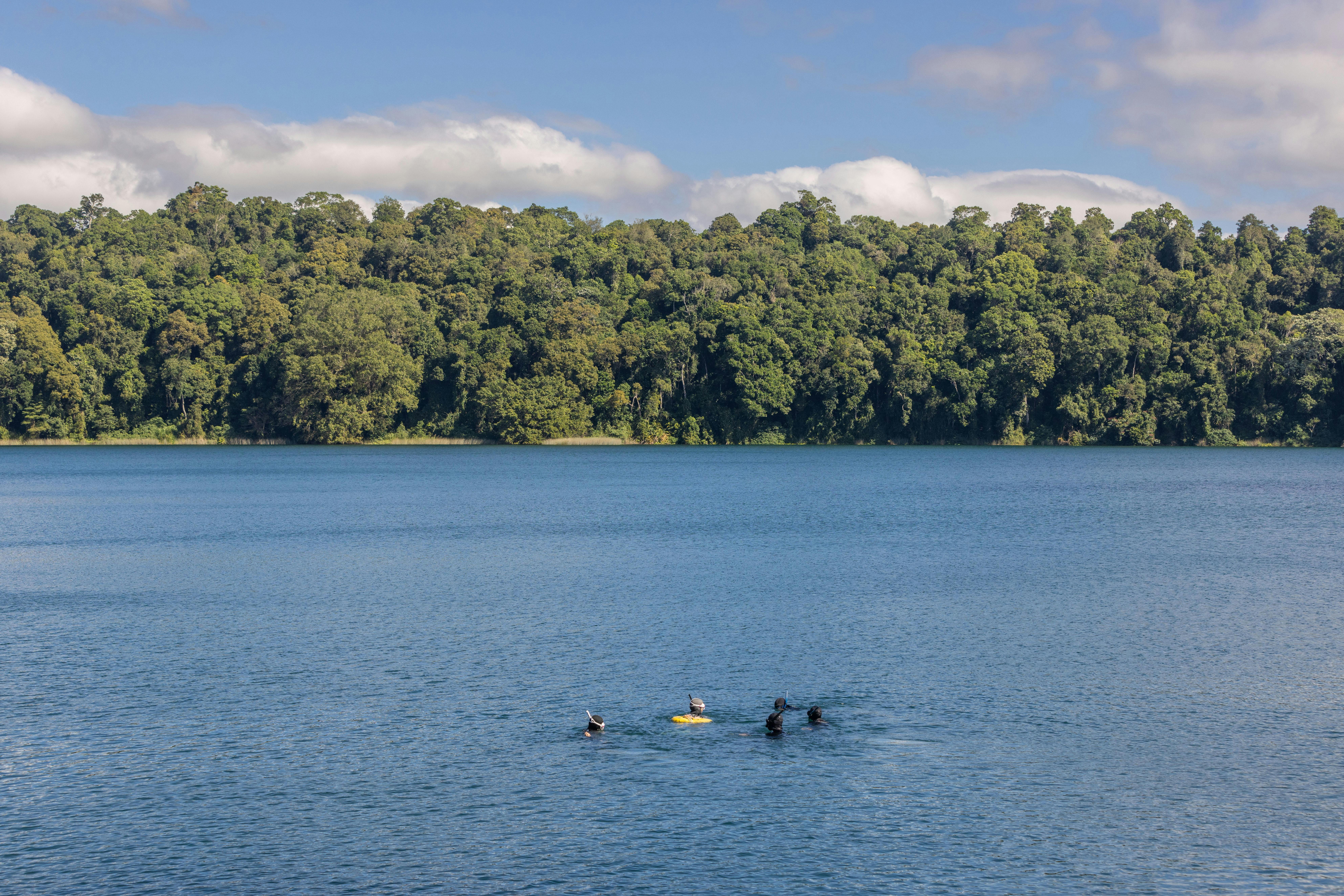 Group of people freediving in the water at the crater lake in the rainforest