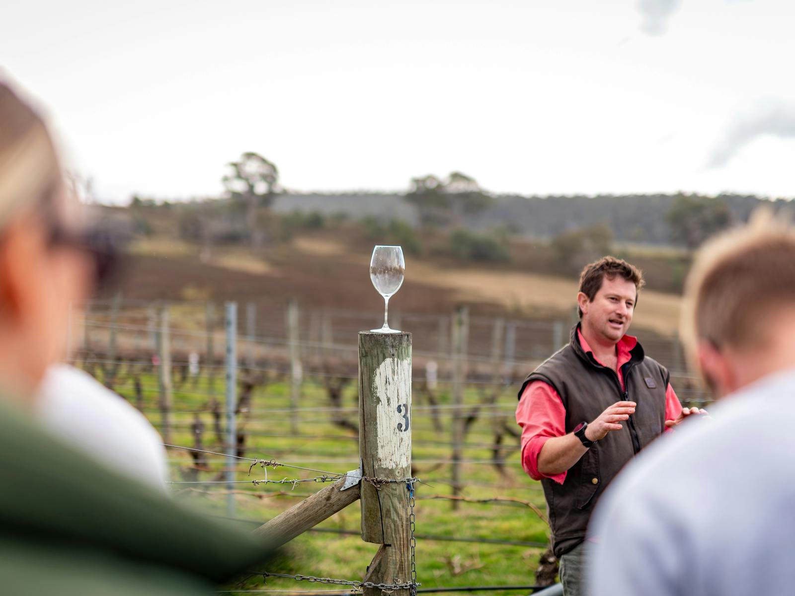 Derwent Valley Winery Experience  Incentive Group