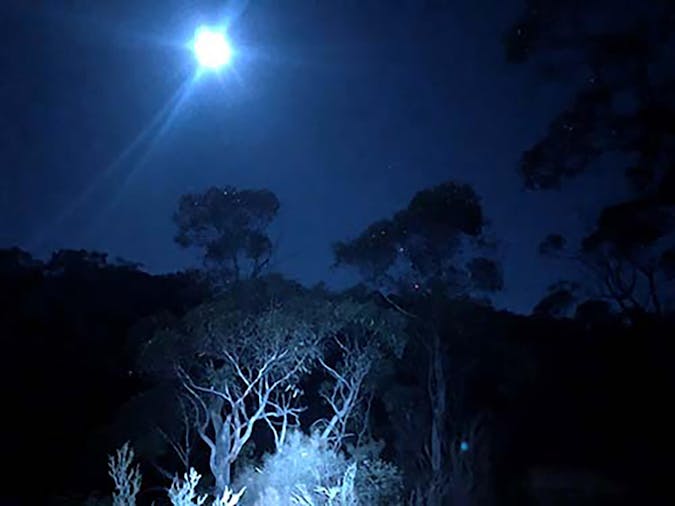 Night Walks - Full Moon Hikes