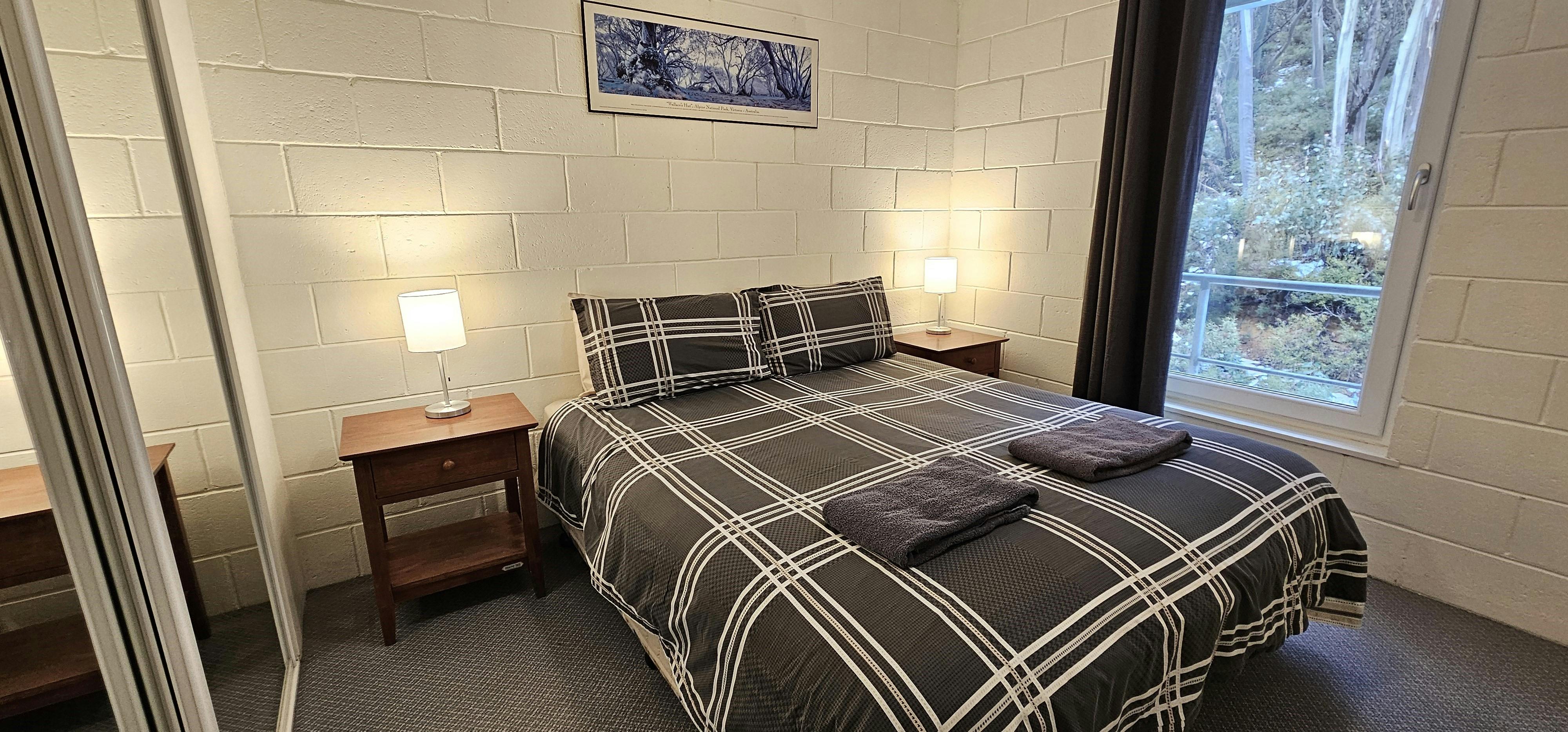 Windows into the snow gums