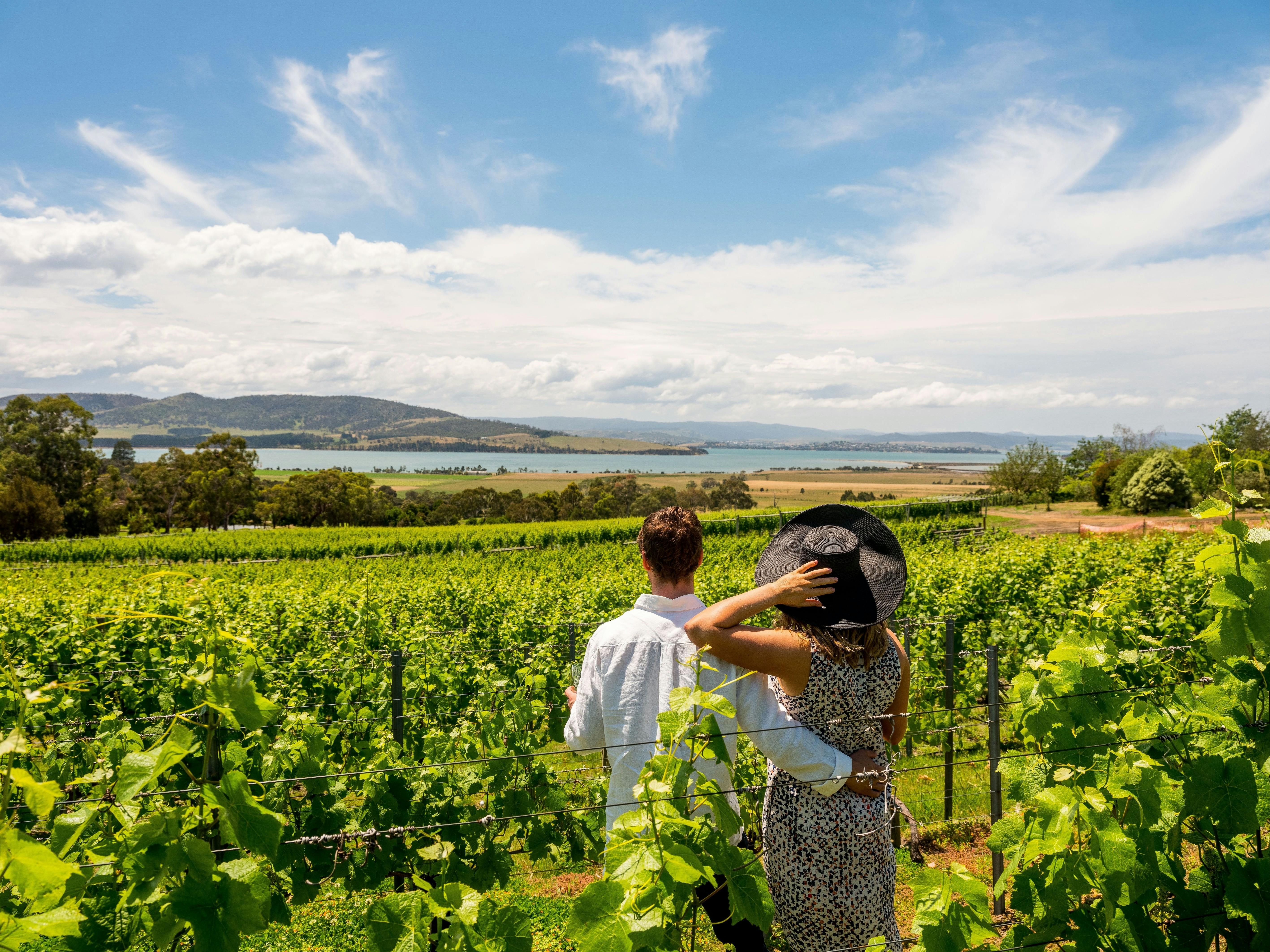 Coal Valley Vineyard