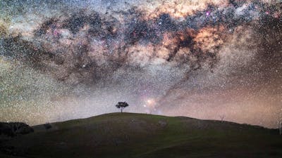 A lone tree under the Mlky Way