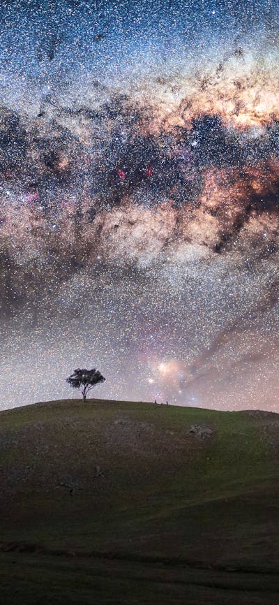 A lone tree under the Mlky Way